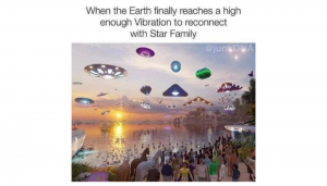 Diversity in Action